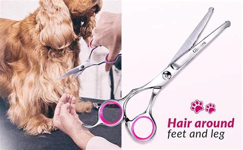 Dog Grooming Scissors Cost