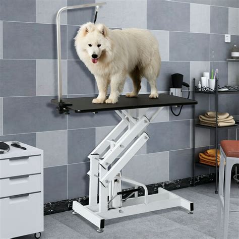 elyricsy.biz:dog grooming table walmart