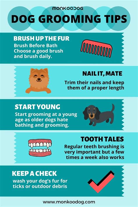 Pro Dog Grooming Techniques Tips: Ultimate Guide