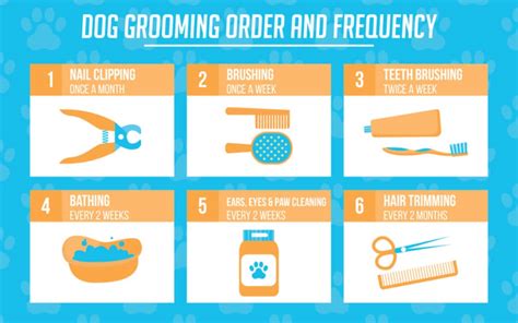 Pro Dog Grooming Tips and Techniques: Made Easy