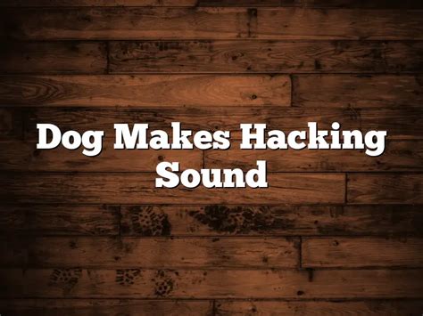 Dog making a hacking sound
