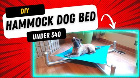 Dog Hammock Bed Diy