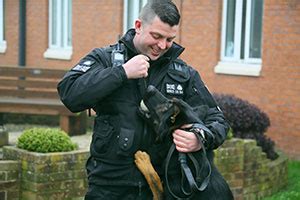 Dog Handler Jobs Hmp