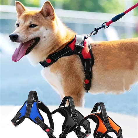 Dog Harness Control