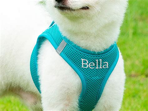 Dog Harness Designs