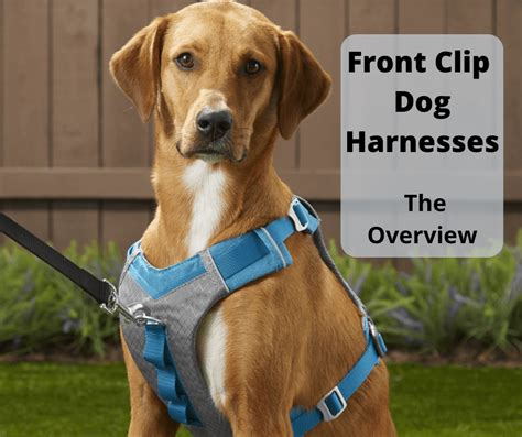 Dog Harness Hook In Front