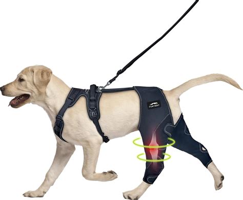 Dog Harness Leg Support