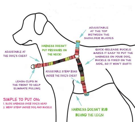 Dog Harness Purpose