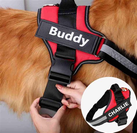 Dog Harnesses with Names on Them