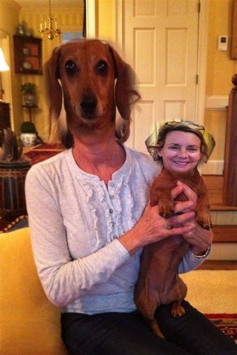 25 Horrifying and Hilarious Animal Face Swaps