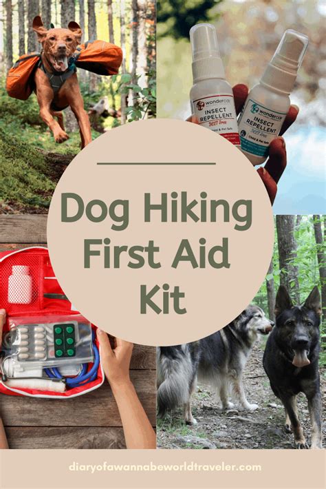 Hiking First Aid Kit Essentials Ridgeline Images