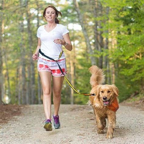 10 amazing offleash dog hikes that aren't on the North Shore Curated