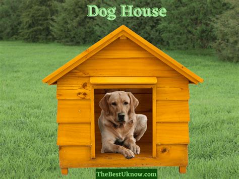 Dog House Names