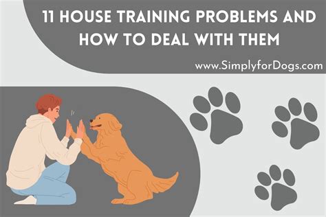 Dog House Training Issues