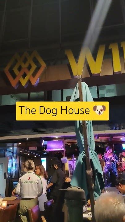 Dog House Tst