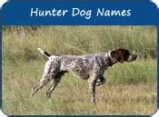 Dog Hunter Names