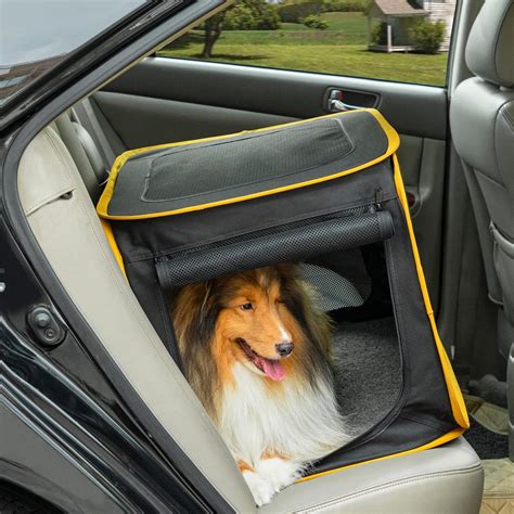 Dog In Crate In Car