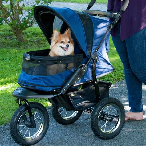 Dog In Strollers