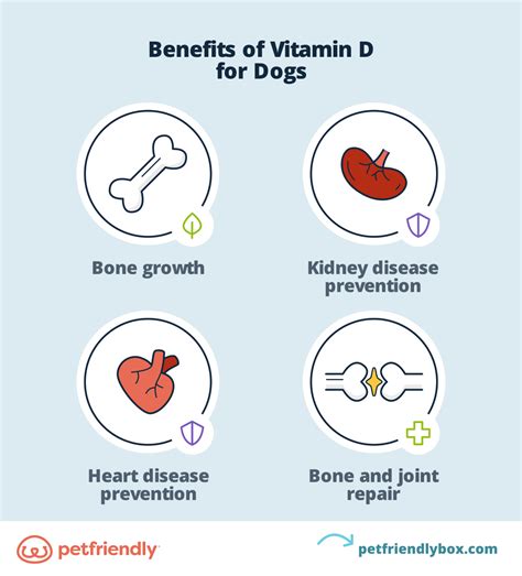 Dog Ingested Vitamin D