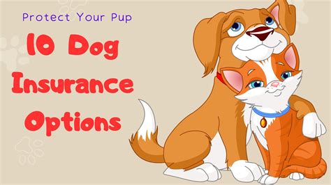 dog insurance options canada