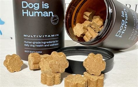Dog Is Human Multivitamins