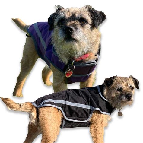 Dog Jacket With Leg Straps