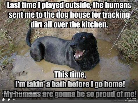 Dog Jokes Dirty