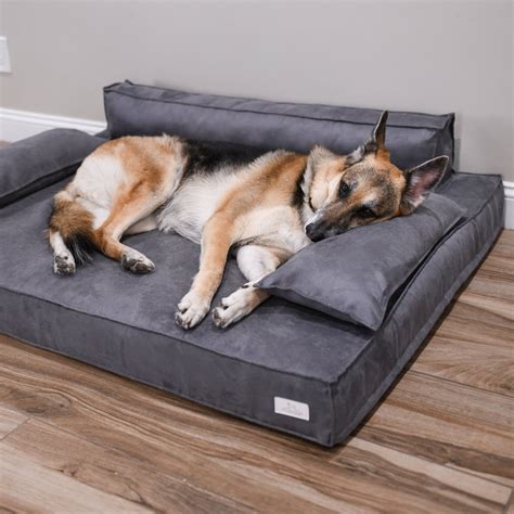 Dog Jumbo Bed
