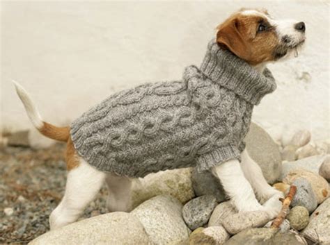 Dog Jumper Knitting Pattern Australia