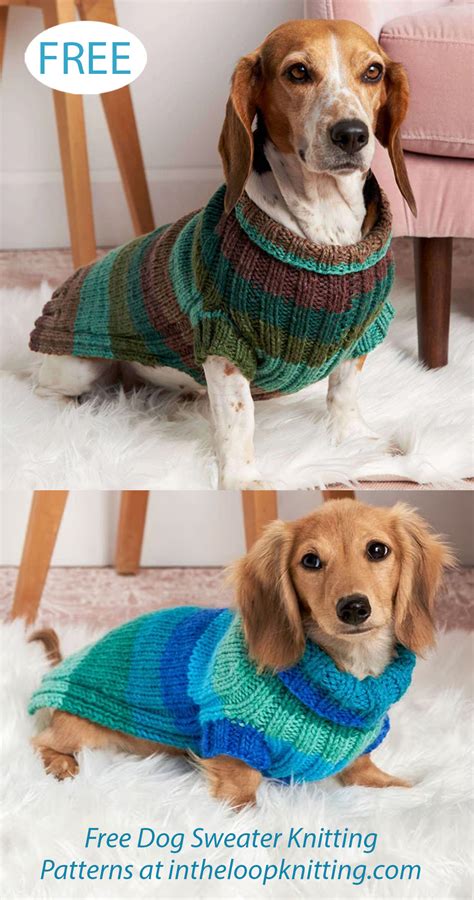 Dog Jumper Knitting Pattern Dk