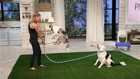 Dog Jumping Rope