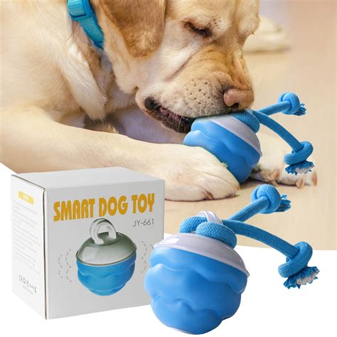 Dog Jumping Toy