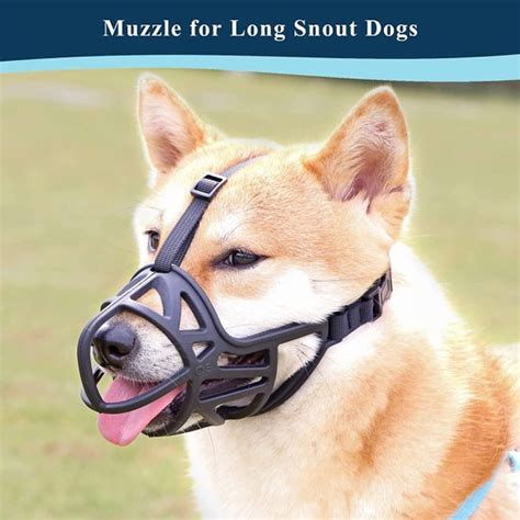Dog Keeps Eating Muzzle