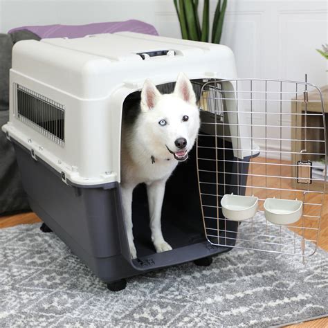 dog kennel for flying