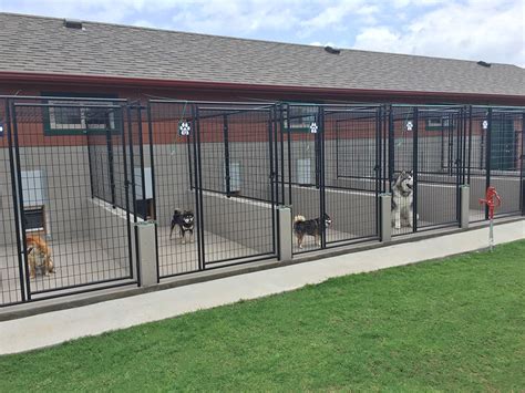 dog kennels near kendal