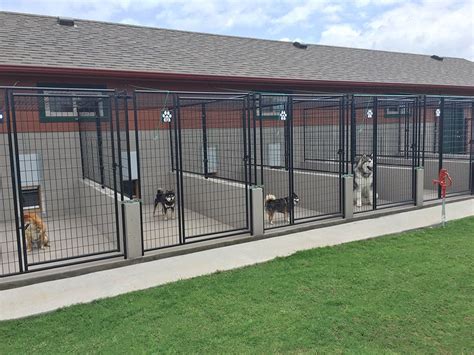 dog kennels near me reviews