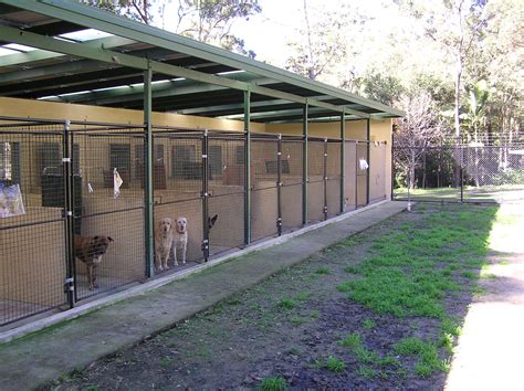 dog kennels near stafford