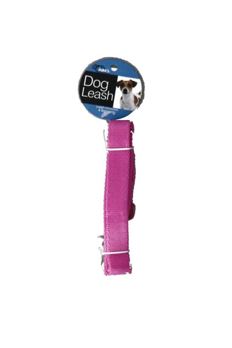 Dog Leash Dollar Store
