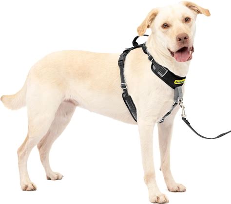 Dog Leash Easy Walk