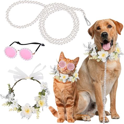 Dog Leash Sunglasses