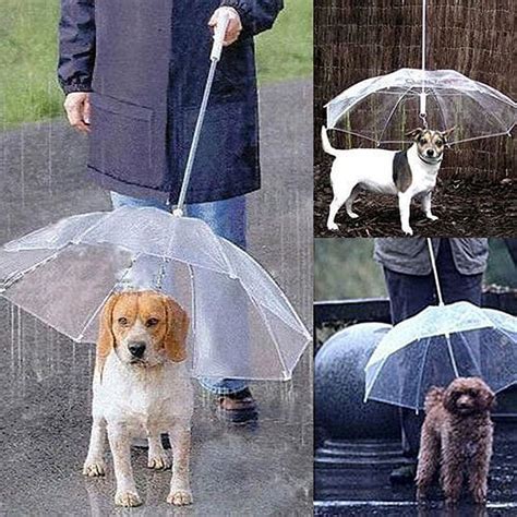 Dog Leash Umbrella