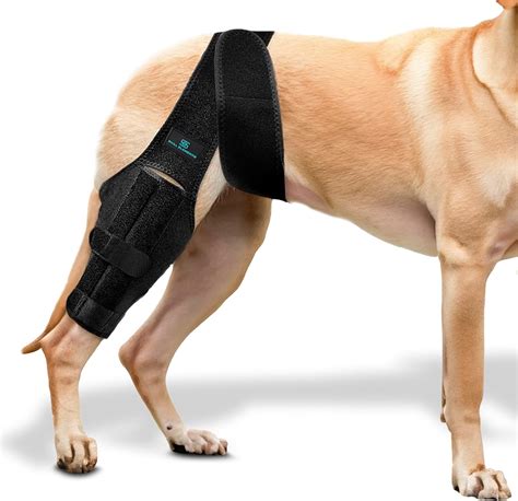 Dog Leg Braces