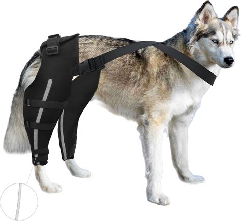 Dog Leg Support Back Legs