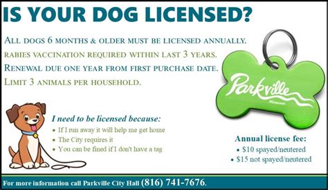 dog license lake county fl