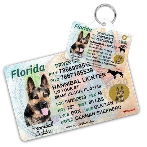 dog license tag lee county florida