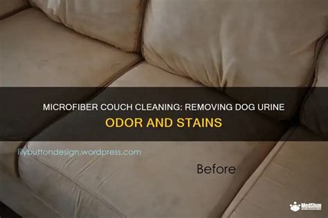 Dog Licks Microfiber Couch