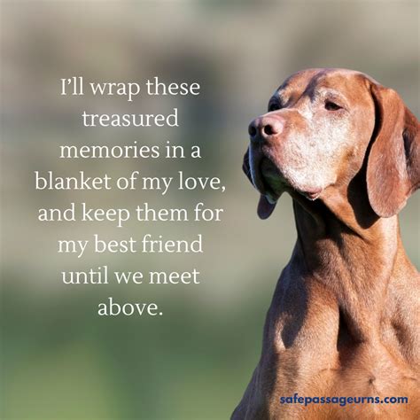 Top Dog Loss Quotes for Comforting Hearts