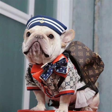 Dog Lv Backpack
