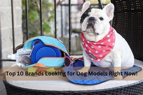 Dog Models Agency