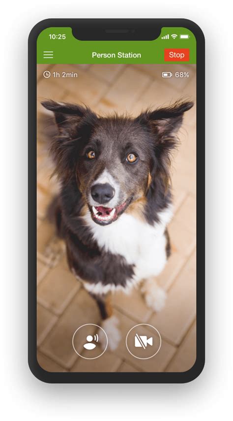 dog monitor app desktop